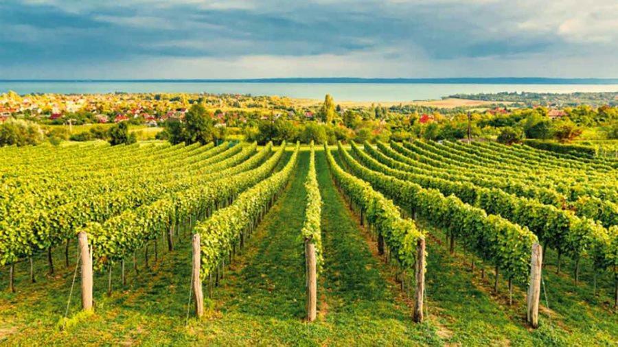 Silver Delux Apartman Balatonfüred Екстериор снимка